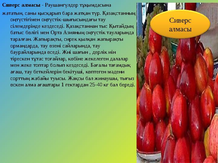Сиверс алмасы - Раушангүлдер тұқымдасына жататын, саны қысқарып бара жатқан түр. Қазақстанның оңтүстігімен оңтүстік-шығысындағ