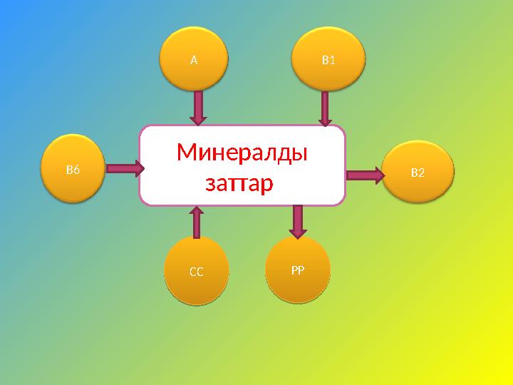 Минералды заттар А ССВ6 В2В1 РРСС РР