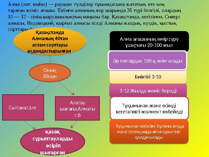 Алма ағашының өмір сүру ұзақтығы 20-100 жыл Биіктігі 3-10 3-12 Жылда жеміс бередіӘр гектардан 100 ц өнім алады Тұқымынан және ө