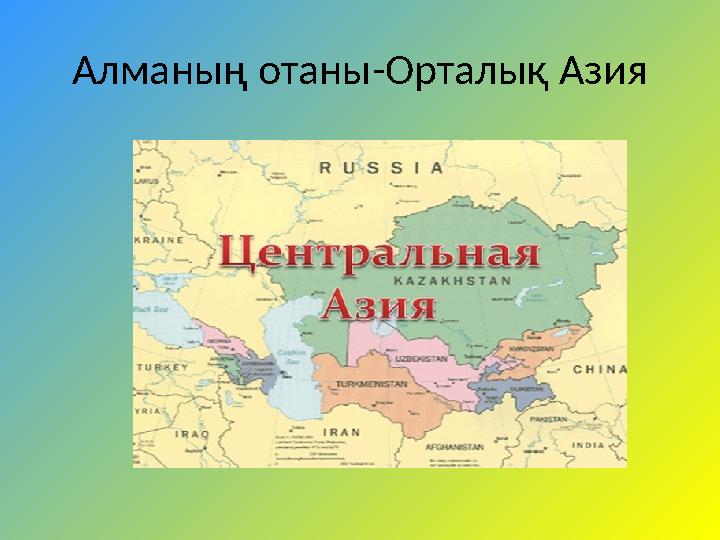 Алманың отаны-Орталық Азия