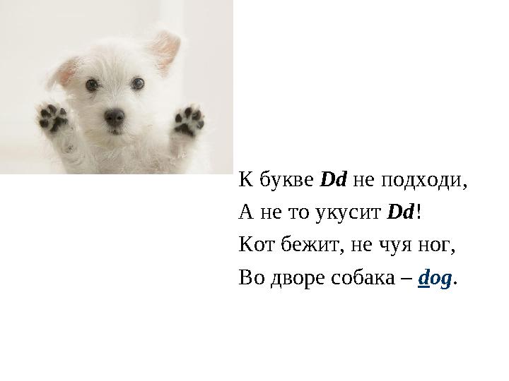 К букве Dd не подходи, А не то укусит Dd ! Кот бежит, не чуя ног, Во дворе собака – d og .