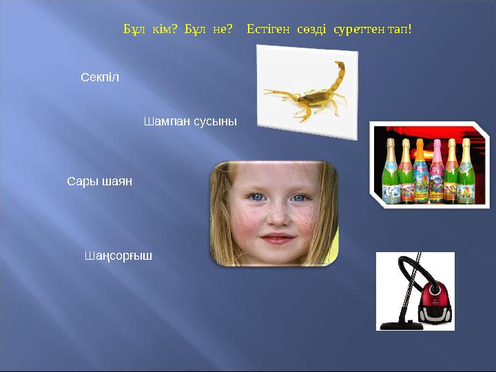 Секпіл Шампан сусыны Сары шаян Шаңсорғыш Бұл кім? Бұл не? Естіген сөзді суретт