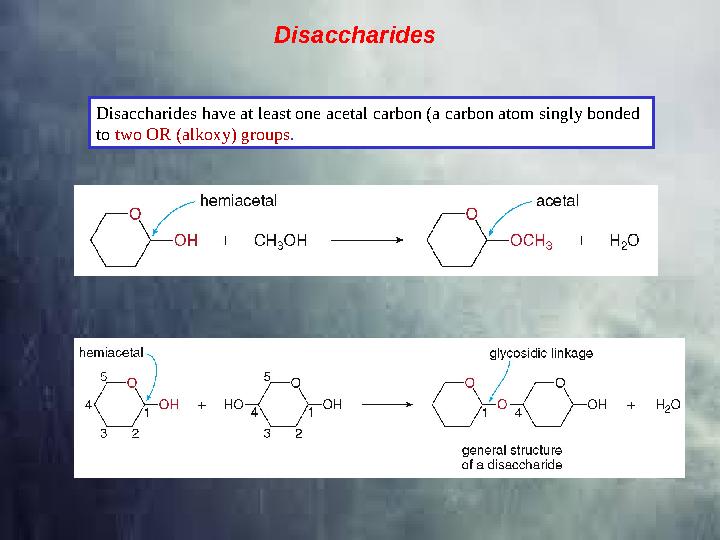 Disaccharides have at least one acetal carbon (a carbon atom singly bonded to two OR (alkoxy) groups .Disaccharides
