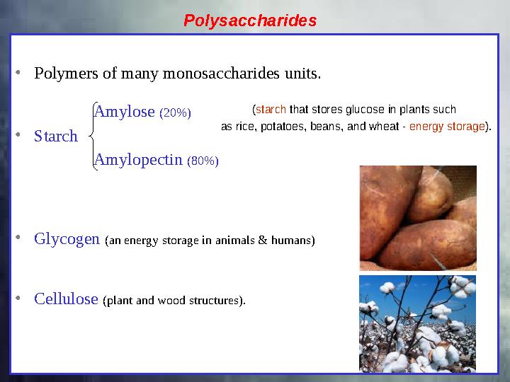 • Polymers of many monosaccharides units. Amylose (20%) • Starch Amylopectin (80%) • Glycogen