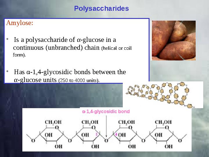 Amylose: • Is a polysaccharide of α -glucose in a continuous (unbranched) chain (helical or coil form). • Has α-1