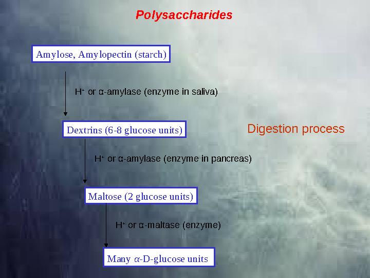 Polysaccharides Amylose, Amylopectin (starch) H + or α -amylase (enzyme in saliva) Dextrins (6-8 glucose units) H + or α -am