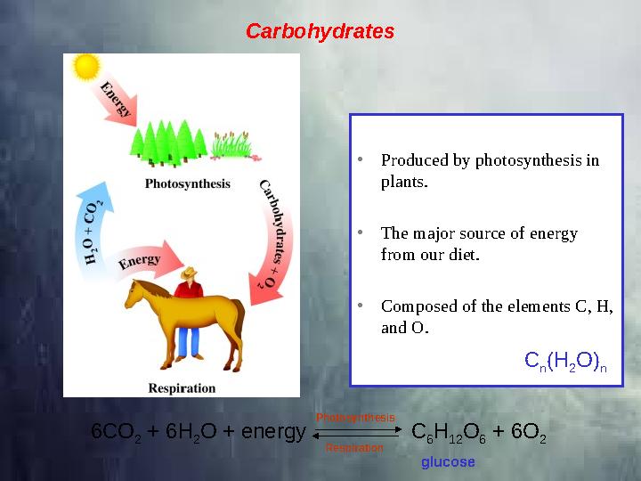 Carbohydrates 6CO 2 + 6H 2 O + energy C 6 H 12 O 6 + 6O 2Photosynthesis Respiration • Produced by photosynthesis in plants.