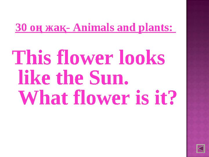 30 оң жақ - Animals and plants: This flower looks like the Sun. What flower is it?