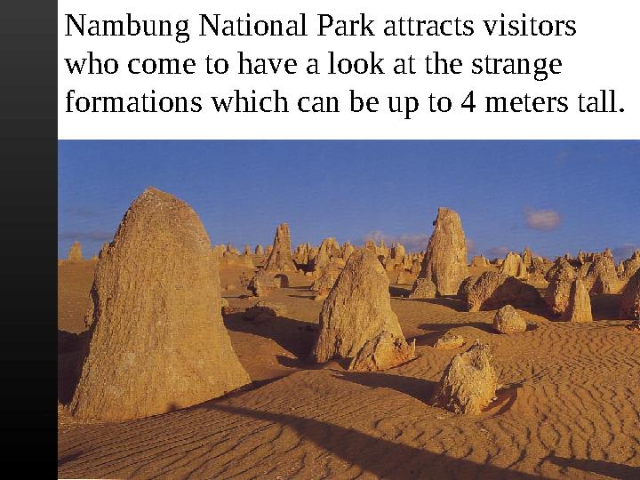 Nambung National Park attracts visitors who come to have a look at the strange formations which can be up to 4 meters tall.