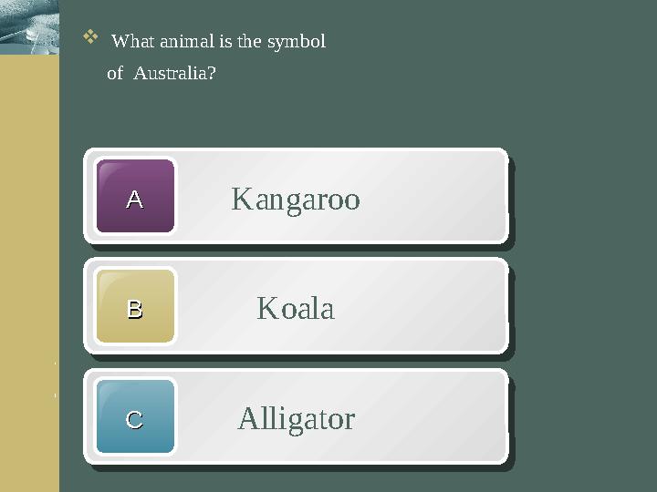 w w w .them egallery.comCompany LogoCompany LogoKangarooAA KoalaBB AlligatorCC What animal is the symbol of Australia?