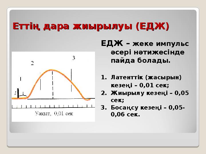 Еттің дара жиырылуы (ЕДЖ)Еттің дара жиырылуы (ЕДЖ) ЕДЖ – жеке импульс әсері нәтижесінде пайда болады. 1. Латенттік (жасырын)