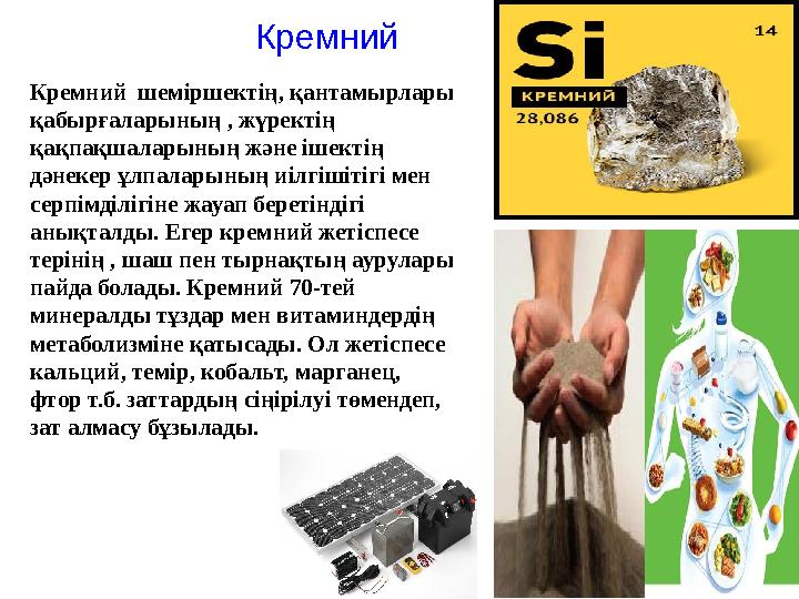 Кремний Кремний шеміршектің, қантамырлары қабырғаларының , жүректің қақпақшаларының және ішектің дәнекер ұлпаларының иілгіші