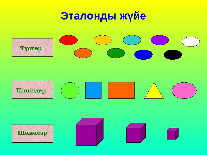 Эталонды жүйе Түстер Пішіндер Шамалар