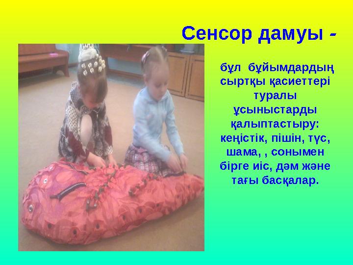 Сенсор дамуы - бұл бұйымдардың сыртқы қасиеттерi туралы ұсыныстарды қалыптастыру: кеңiстiк, пiшiн, түс, шама, , сон