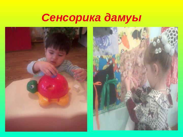 Сенсорика дамуы