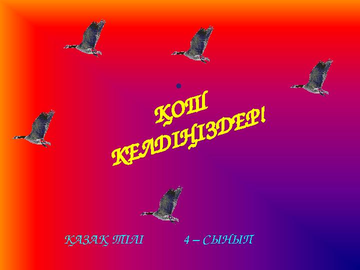 Пизда порносындағы сегізаяқ Мас адамды блятын порно көру