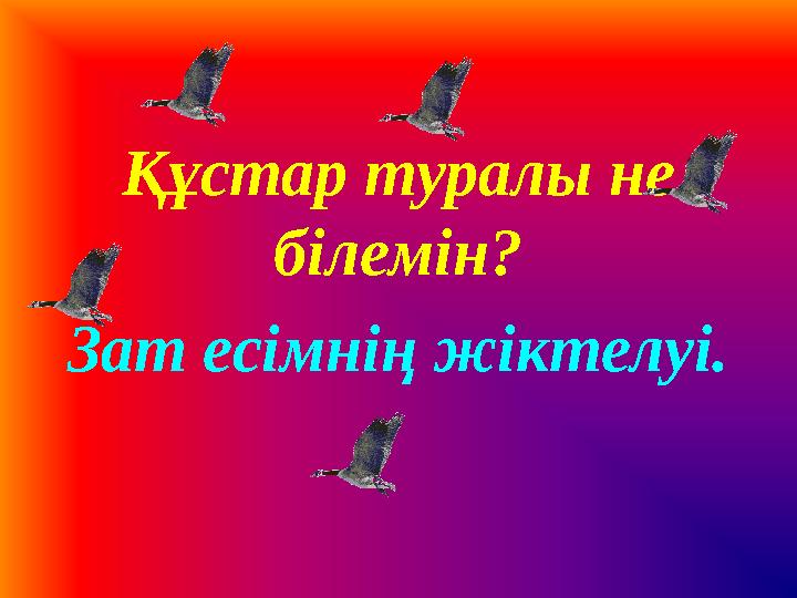 Құстар туралы не білемін? Зат есімнің жіктелуі.