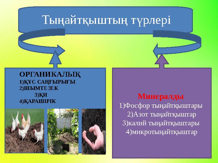 Минералды 1)Фосфор тыңайтқыштары 2)Азот тыңайтқыштар 3)калий тыңайтқыштары 4)микротыңайтқыштарОРГАНИКАЛЫҚ 1)ҚҰС С