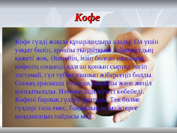 Кофе Кофе Кофе гүлді жақсы құнарландыра алады. Ол үшін уақыт бөліп, арнайы тыңайтқыш дайындаудың қажеті жоқ. Әншейін, ішіп бо