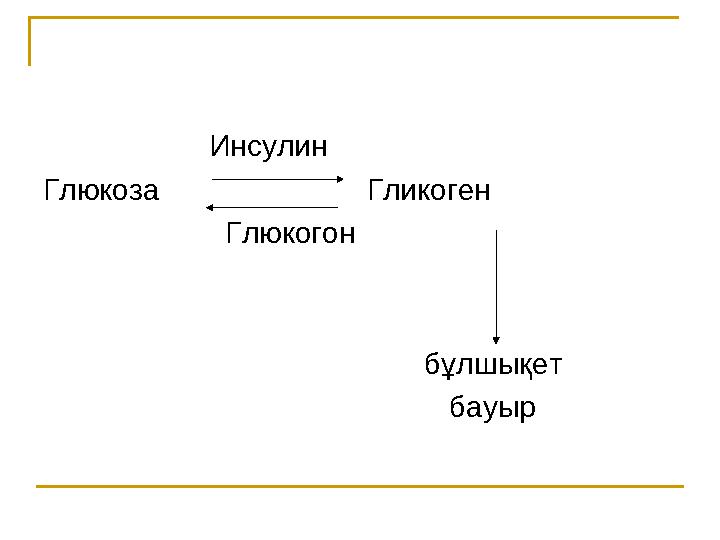 Инсулин Глюкоза Гликоген Глюкогон