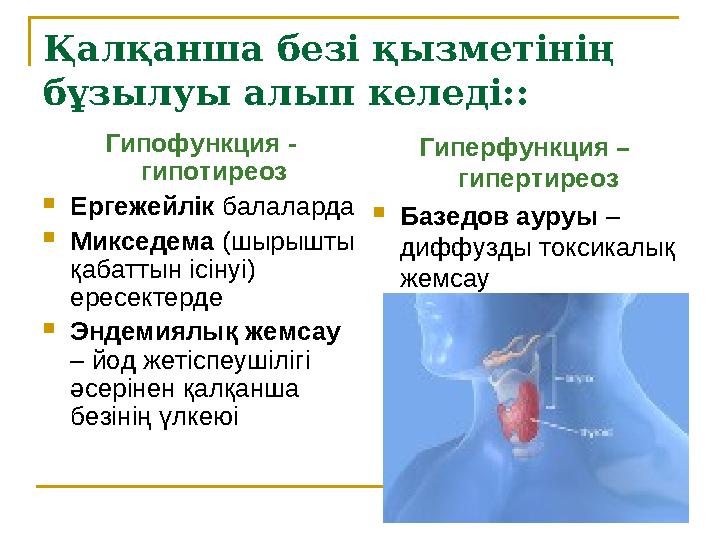 Қалқанша безі қызметінің бұзылуы алып келеді:: Гипофункция - гипотиреоз  Ергежейлік балаларда  Микседема (шырышты қабатты