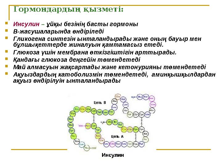 Гормондардың қызметі:  Инсулин – ұйқы безінің басты гормоны  В-жасушаларында өндіріледі  Гликогена синтезін ынталандырады ж