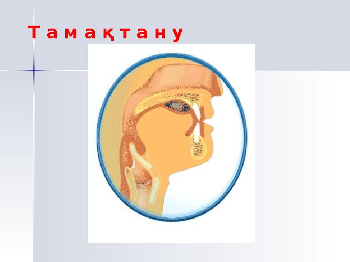 Сабақтың тақырыбы:Сабақтың тақырыбы: Тыныс алу мүшелерінің қызметі мен құрылысыТыныс алу мүшелерінің қызметі мен құрылысы