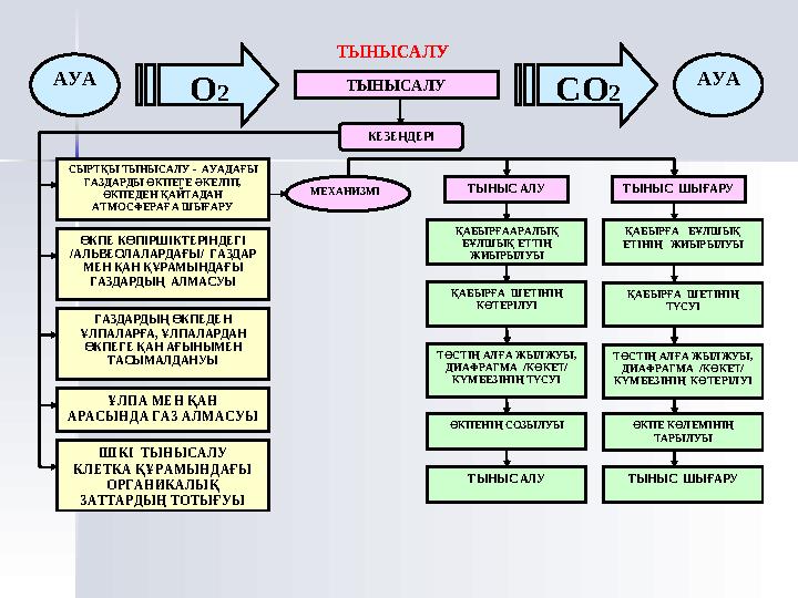Тыныс алуТыныс алу Тыныс алу Тыныс алу - - ағза және сыртқы орта ағза және сыртқы орта аралығында газ алмасу. арал