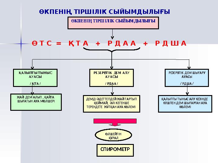 Т а м а қ т а н у