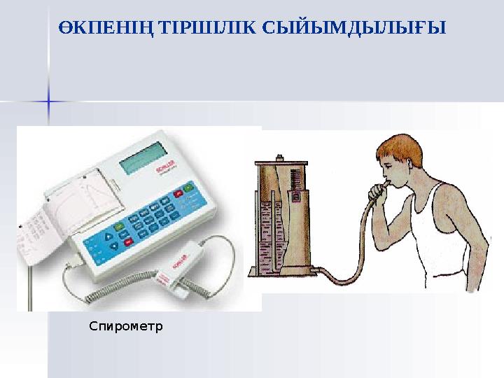 Көмей - ауаны жұтқаншақтан кеңірдекке өткізеді. Ауыз қуысындағы мүшелермен бірге көмей дыбыс түзу және айқы