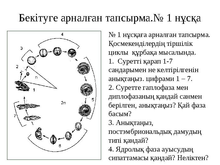Бекітуге арналған тапсырма.№ 1 нұсқа № 1 нұсқаға арналған тапсырма. Қосмекенділердің тіршілік циклы құрбақа мысалында. 1. С