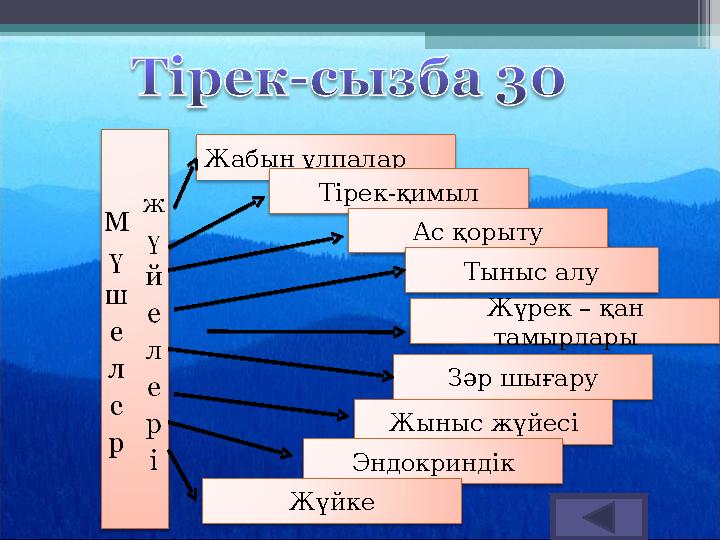 Жабын ұлпалар Жүрек – қан тамырлары Зәр шығару Жыныс жүйесіТірек-қимыл Ас қорыту Тыныс алу Эндокриндік Жүйке