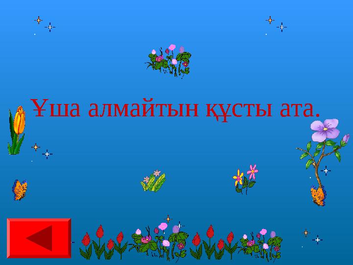 Ұша алмайтын құсты ата.