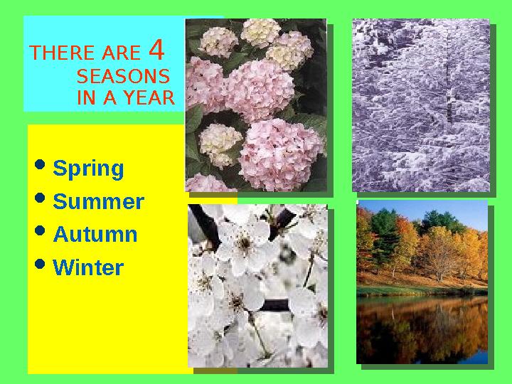 THERE ARE 4 SEASONS IN A YEAR  Spring  Summer  Autumn  Winter