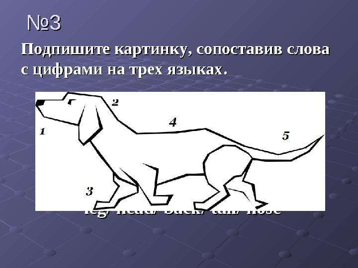 №№ 33 Подпишите картинку, сопоставив слова Подпишите картинку, сопоставив слова с цифрамис цифрами на трех языкахна трех язы