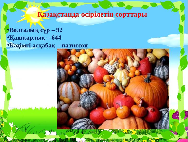 Қазақстанда өсірілетін сорттары • Волгалық сұр – 92 • Қашқарлық – 644 • Кәдімгі асқабақ – патиссон