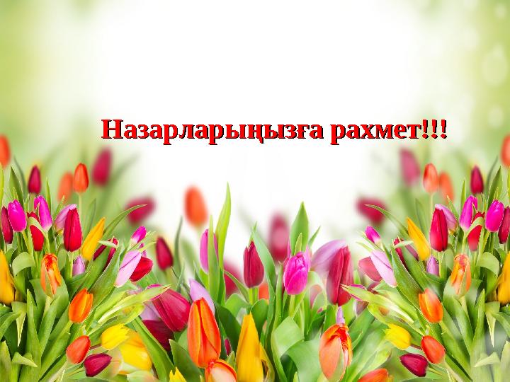 Назарларыңызға рахмет!!!Назарларыңызға рахмет!!!