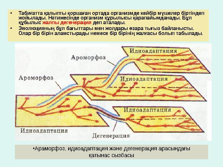• Табиғатта қалыпты қоршаған ортада организмде кейбір мүшелер біртіндеп жойылады. Нәтижесінде организм құрылысы қарапайымдан
