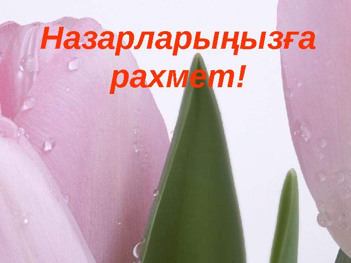 Назарларыңызға рахмет!