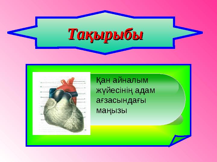 Неке түніндегі секс