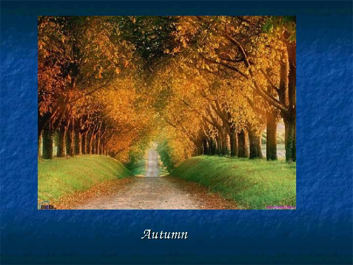 AutumnAutumn