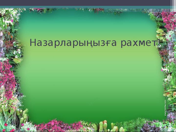 Назарларыңызға рахмет!