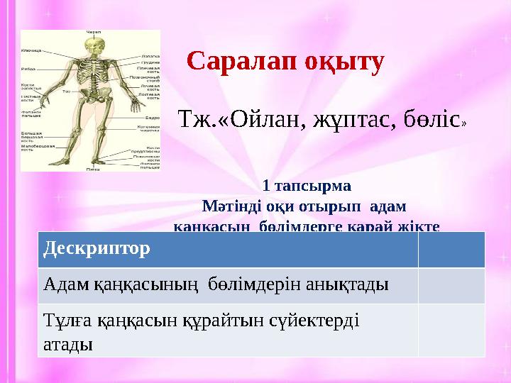 Белсенді оқыту тәсілдері Саралап оқыту Тж.«Ойлан, жұптас, бөліс » 1 тапсырма Мәтінді оқи отырып адам қаңқасын бөлімдерге қар