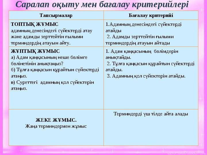 Тапсырмалар Бағалау критерийі ТОПТЫҚ ЖҰМЫС адамның денесіндегі сүйектерді атау және адамды зерттейтін ғылыми терминдердің атау