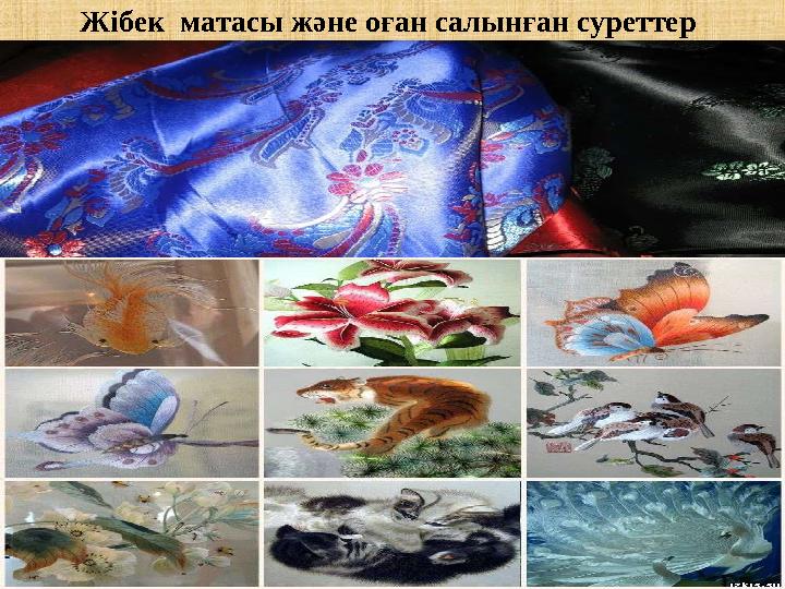 Жібек матасы және оған салынған суреттер