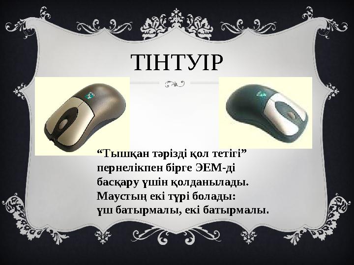 ТІНТУІР “ Тышқан тәрізді қол тетігі” пернелікпен бірге ЭЕМ-ді басқару үшін қолданылады. Маустың екі түрі болады: үш батырмалы,