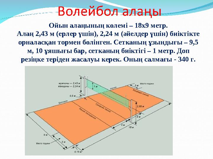 Ойын алаңының көлемі – 18х9 метр. Алаң 2,43 м (ерлер үшін), 2,24 м (әйелдер үшін) биіктікте орналасқан тормен бөлінген. Сетканы