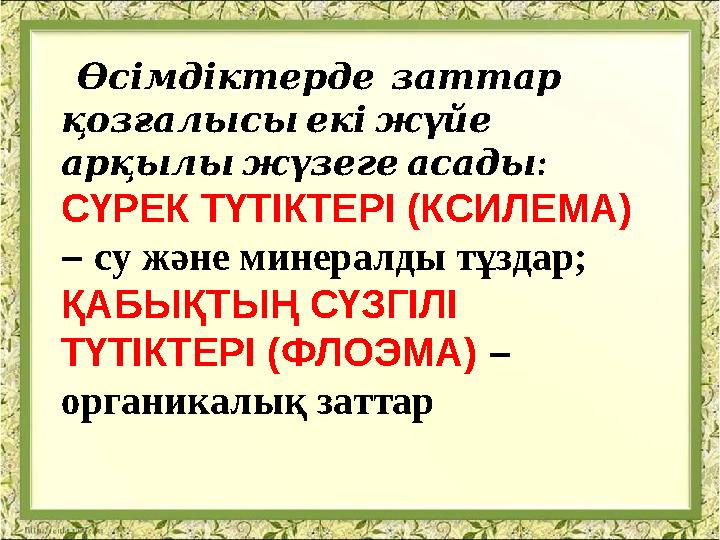 Өсімдіктерде заттар қозғалысы екі жүйе : арқылы жүзеге асады СҮРЕК ТҮТІКТЕРІ (КСИЛЕМА) – су және минералды