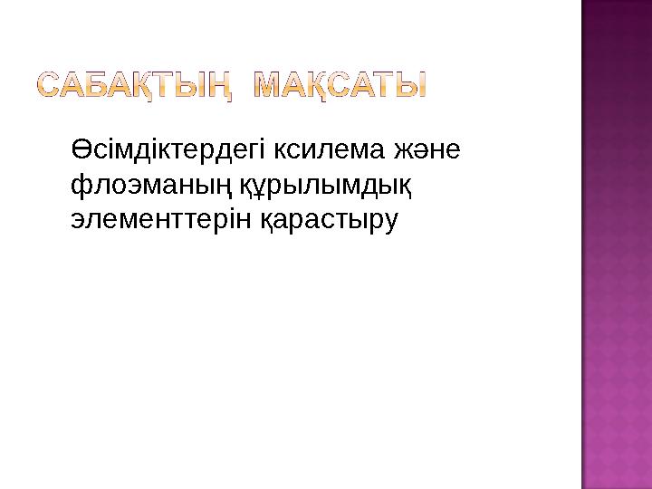 Өсімдіктердегі ксилема және флоэманың құрылымдық элементтерін қарастыру