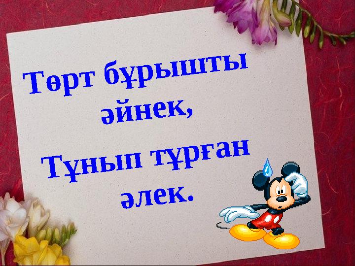 Т ө р т б ұ р ы ш т ы ә й н е к , Т ұ н ы п т ұ р ғ а н ә л е к .